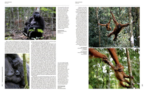 Handbook of the Mammals of the World no 3, Primates - Lynx 2013